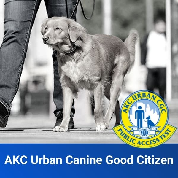 AKC Urban Canine Good Citizen | Off Leash K9 Training of Southern Utah